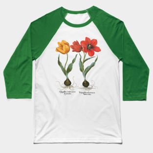 Tulips by Basilius Besler Baseball T-Shirt